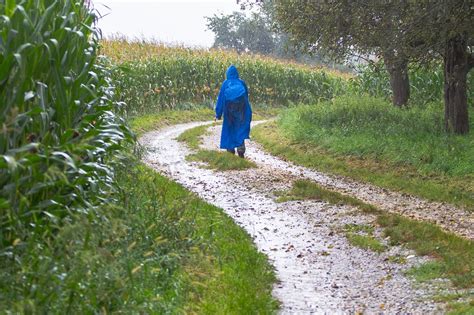 下雨天 圖片|超过 3100000 张关于“下雨天’”和“下雨天”的免费图片